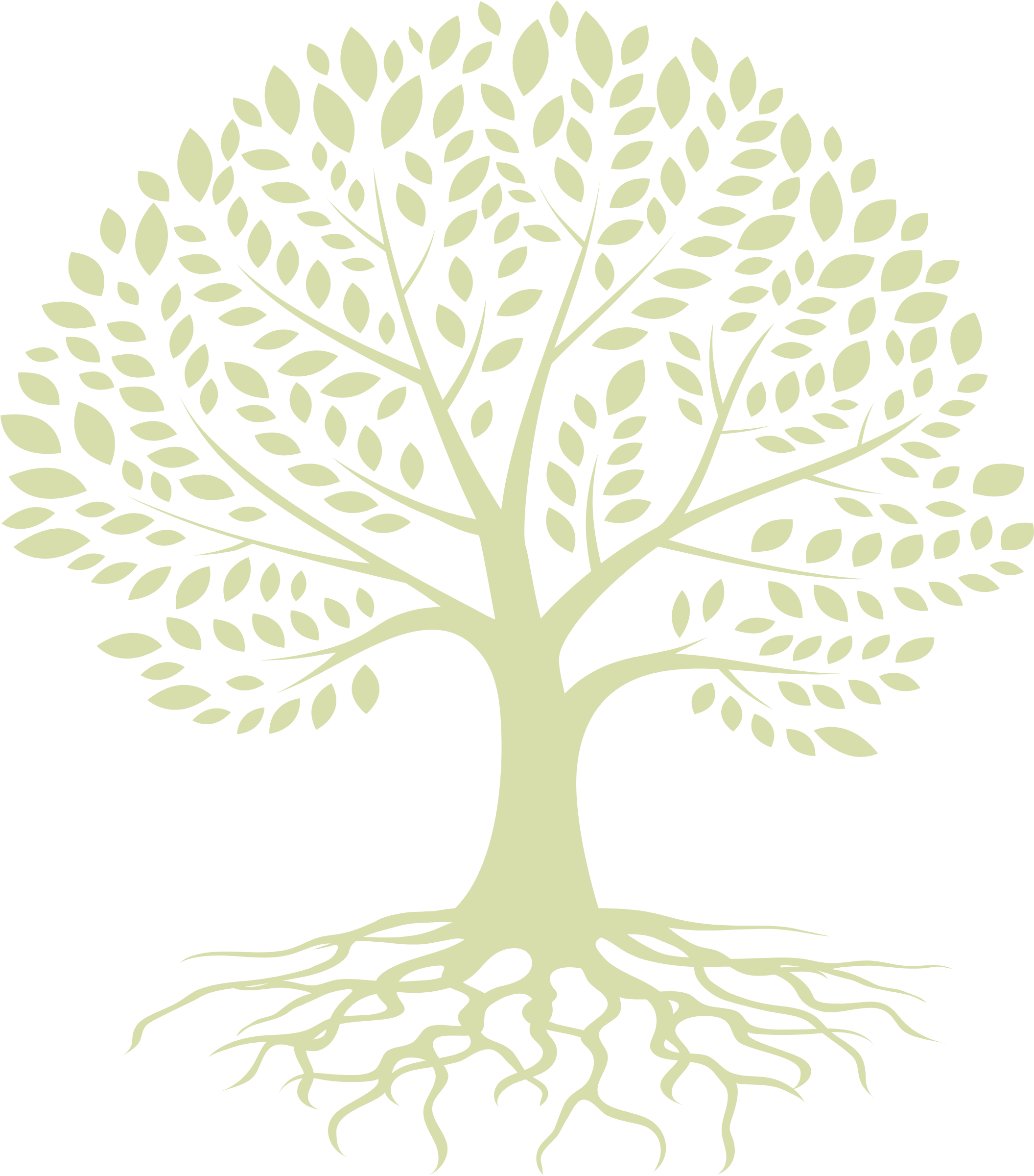 Baum